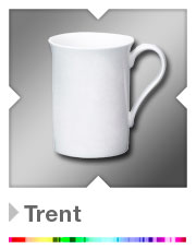 trent promotional mug